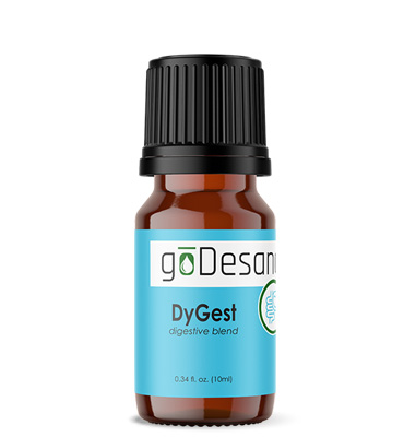 DyGest